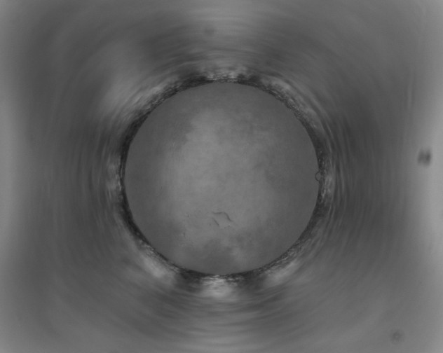 X0000094790616200711161435