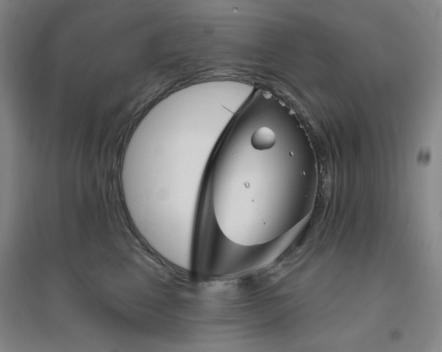 X0000094790617200711161435