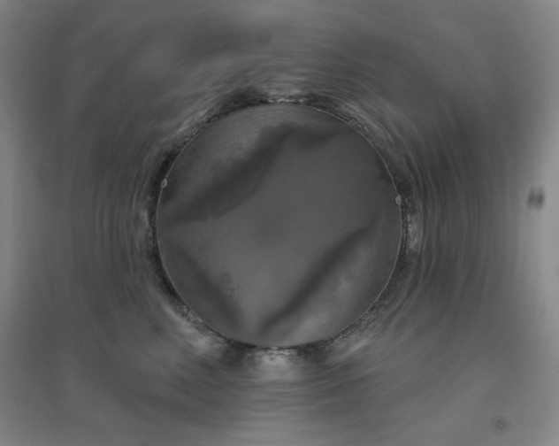 X0000094790618200711161435