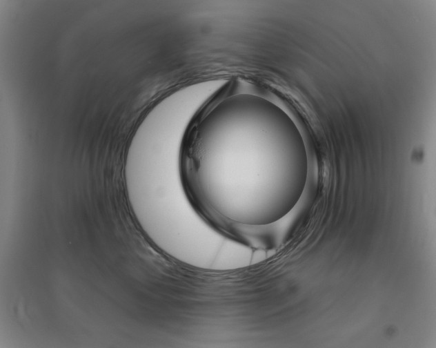 X0000094790621200711161435