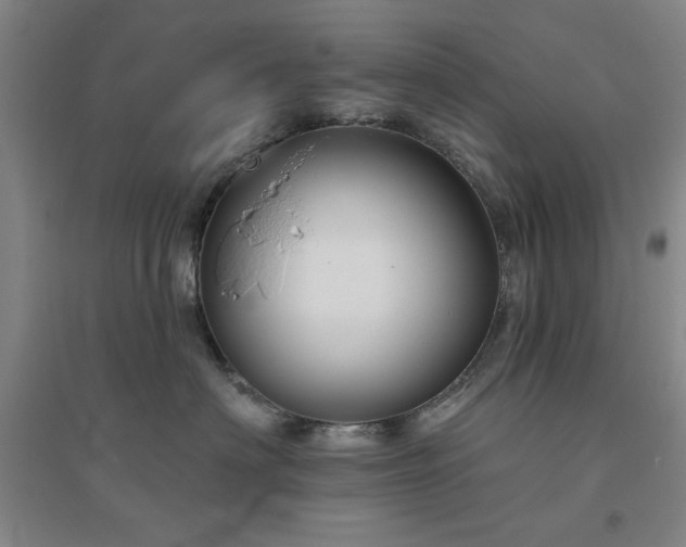 X0000094790622200711161435