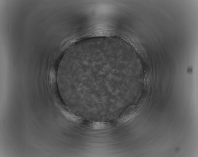 X0000094790623200711161435