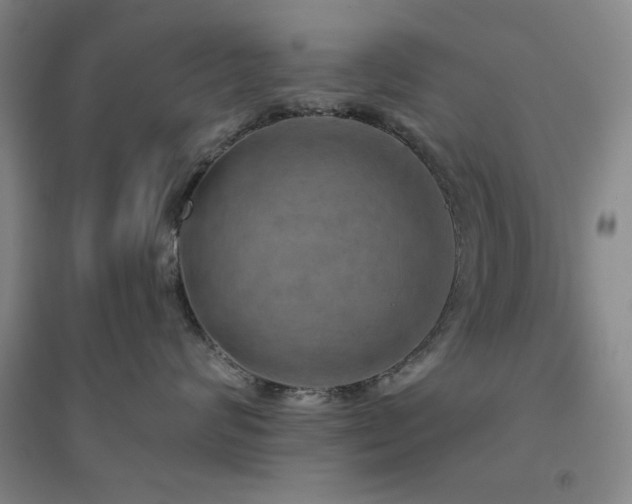 X0000094790624200711161435