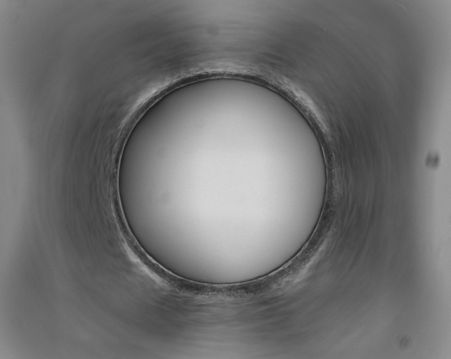 X0000094790625200711161434