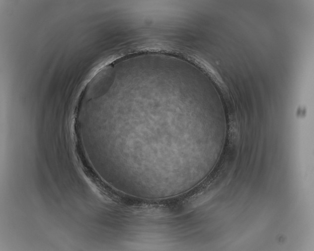 X0000094790626200711161434