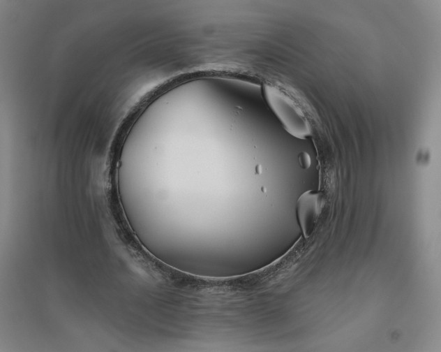 X0000094790628200711161434