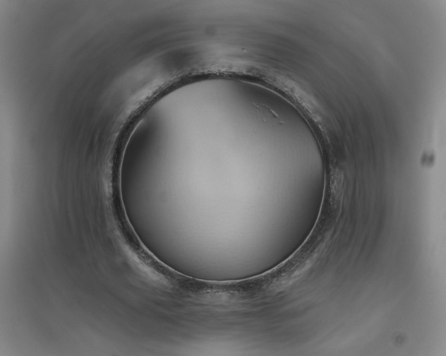 X0000094790629200711161434