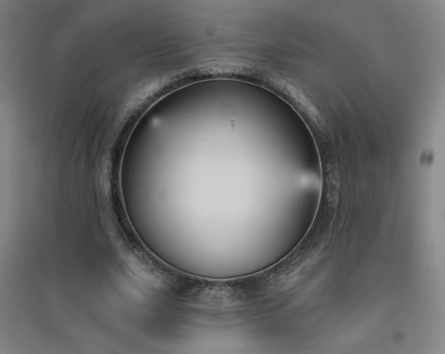 X0000094790631200711161434