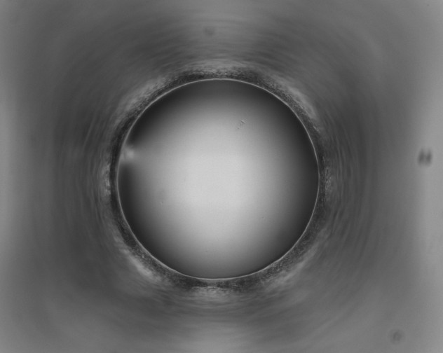 X0000094790633200711161434