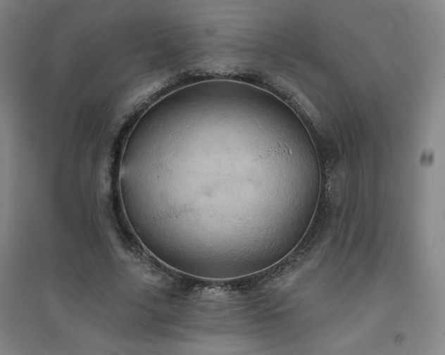 X0000094790635200711161434