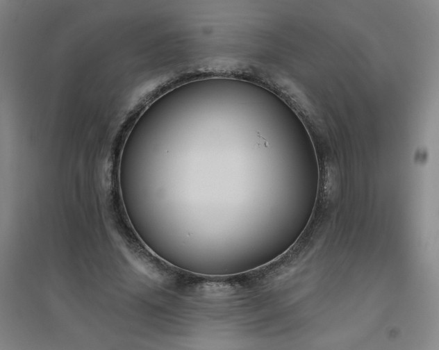 X0000094790636200711161434