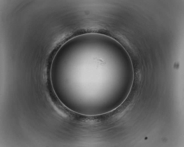 X0000094790638200711161434