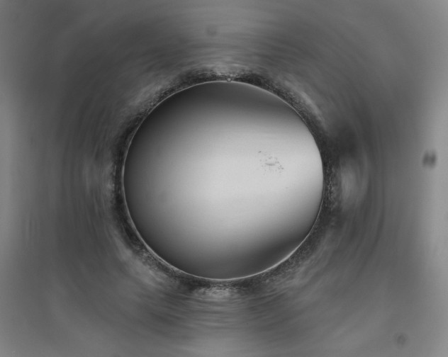 X0000094790639200711161434