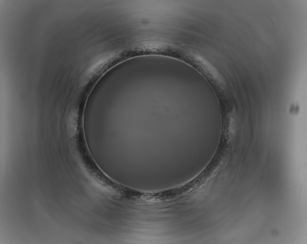 X0000094790640200711161434
