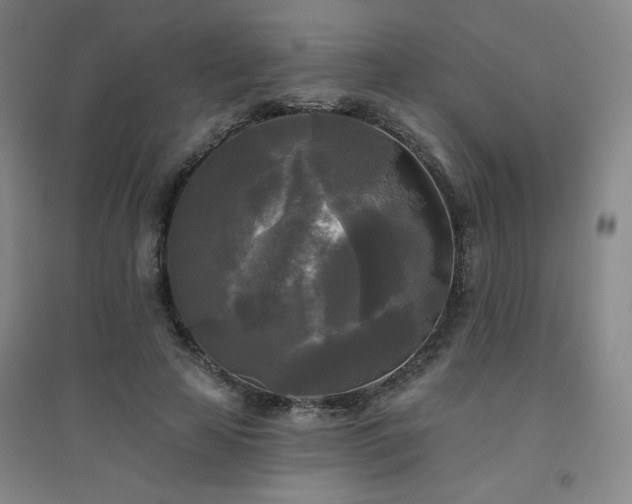 X0000094790641200711161434
