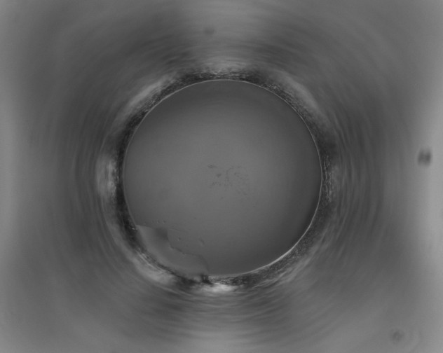 X0000094790644200711161434