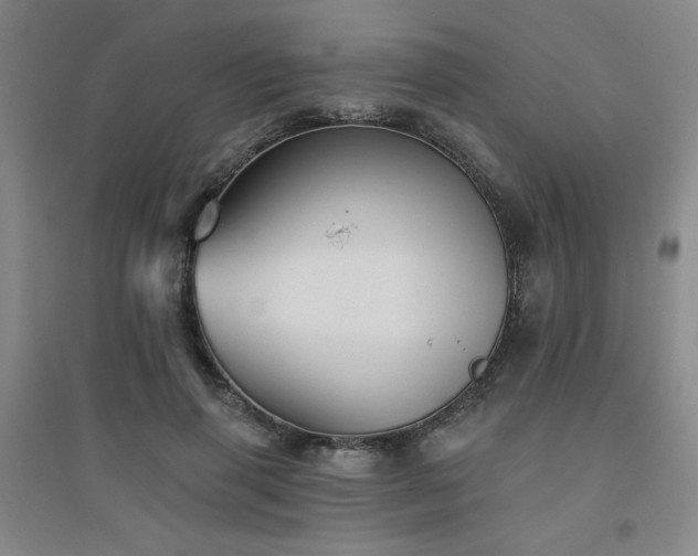 X0000094790645200711161434