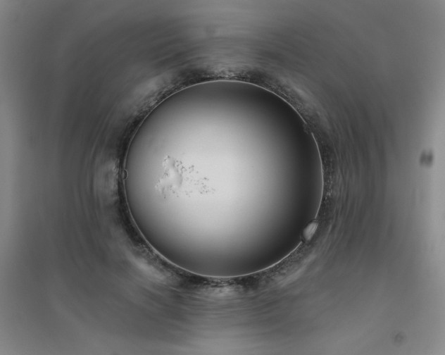 X0000094790646200711161434