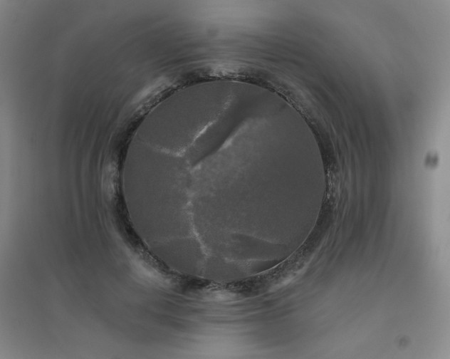 X0000094790648200711161435