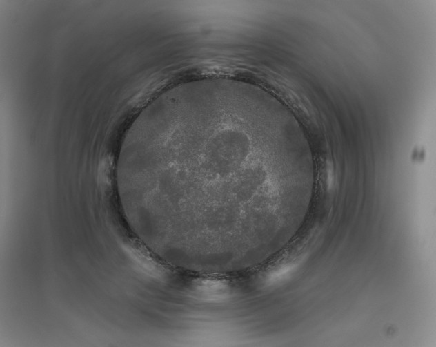 X0000094790649200711161435