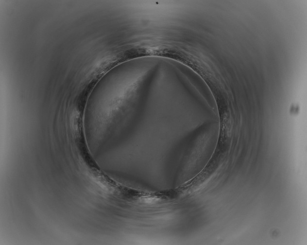X0000094790650200711161435