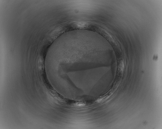 X0000094790651200711161435