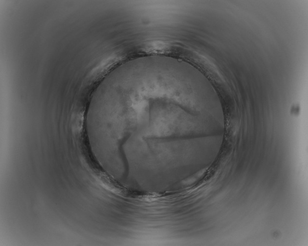 X0000094790652200711161435