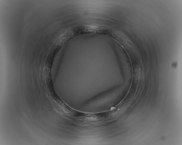X0000094790653200711161435