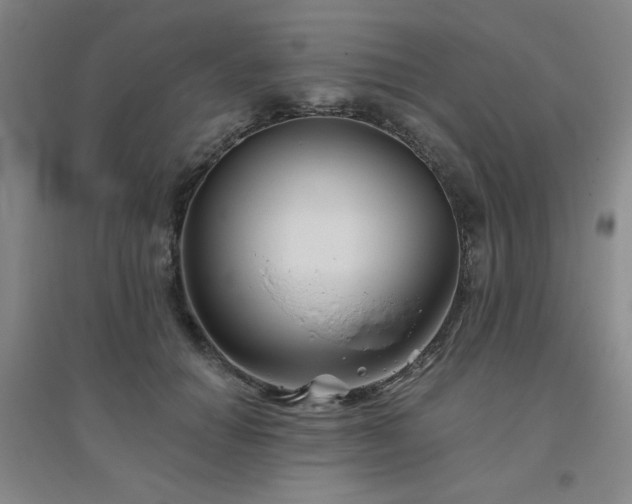 X0000094790654200711161435