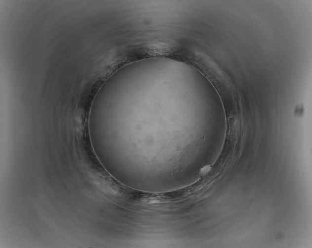 X0000094790655200711161435