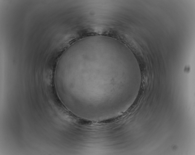 X0000094790656200711161435