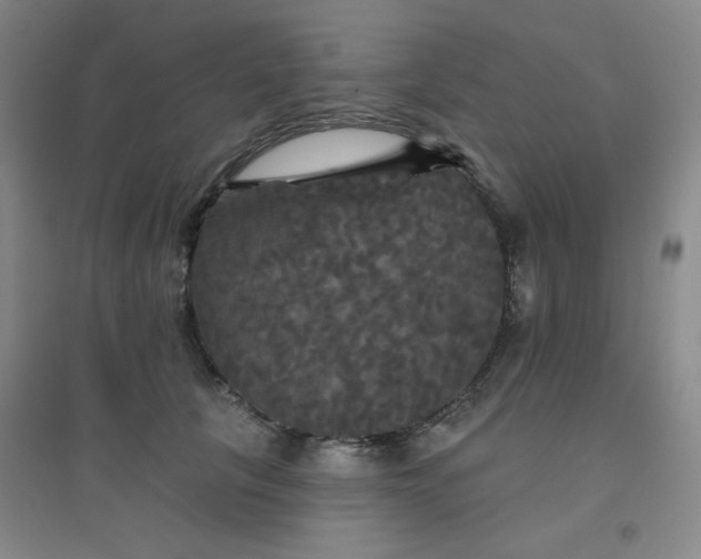 X0000094790657200711161435