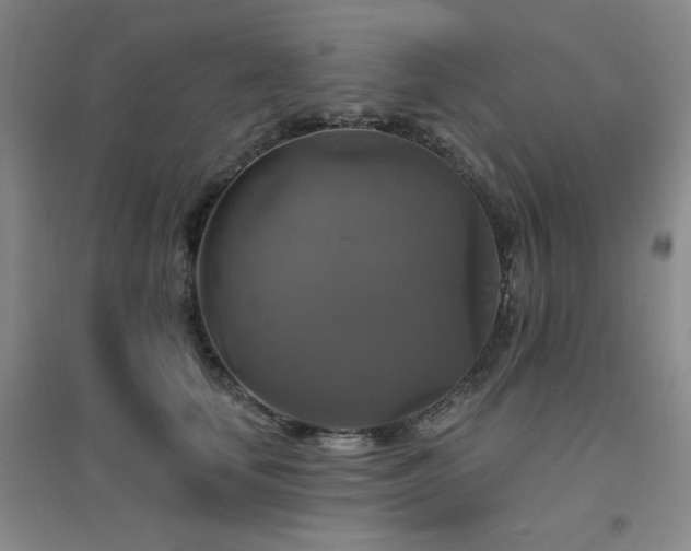 X0000094790659200711161435