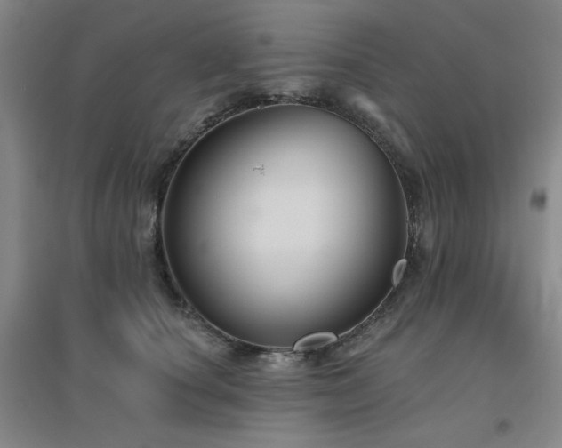 X0000094790660200711161435