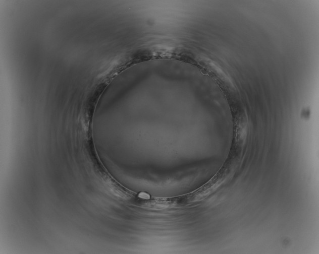 X0000094790661200711161435