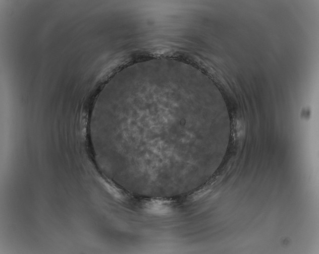 X0000094790664200711161435