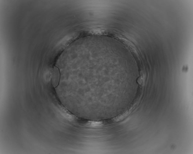X0000094790665200711161435