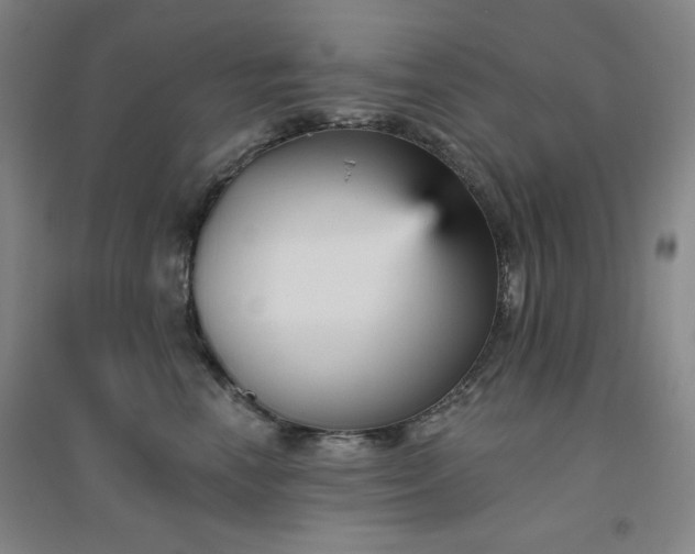 X0000094790666200711161435