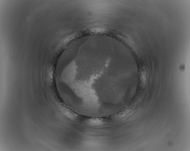 X0000094790668200711161435