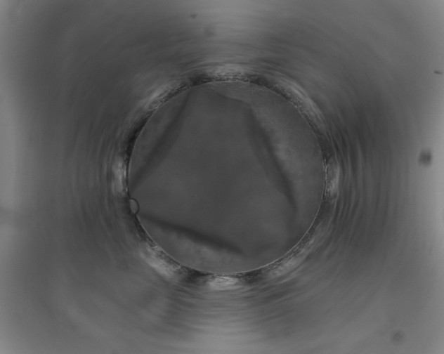 X0000094790669200711161435