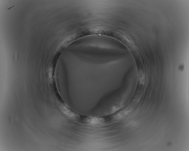 X0000094790670200711161435