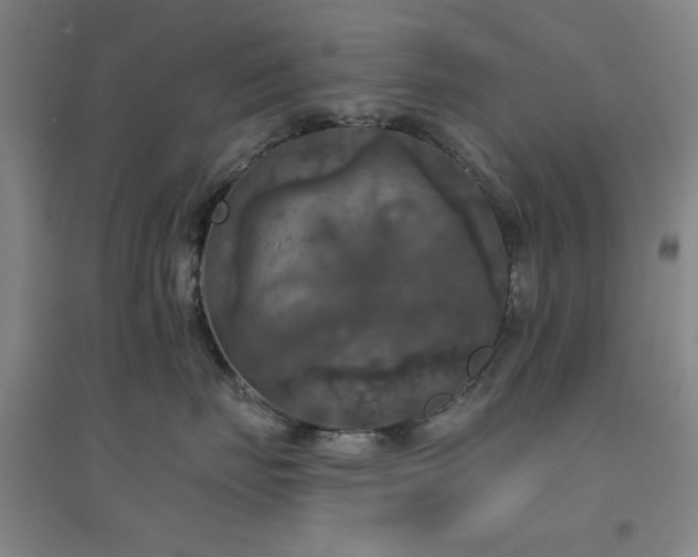 X0000094790671200711161435