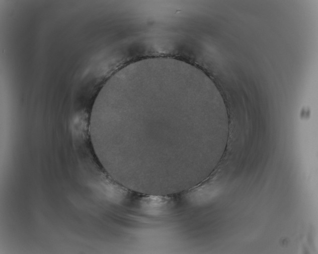 X0000094790672200711161435