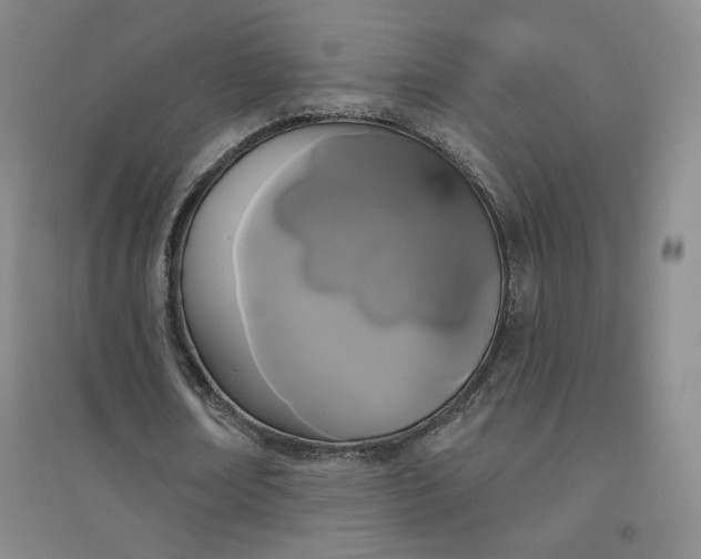 X0000094790674200711161434