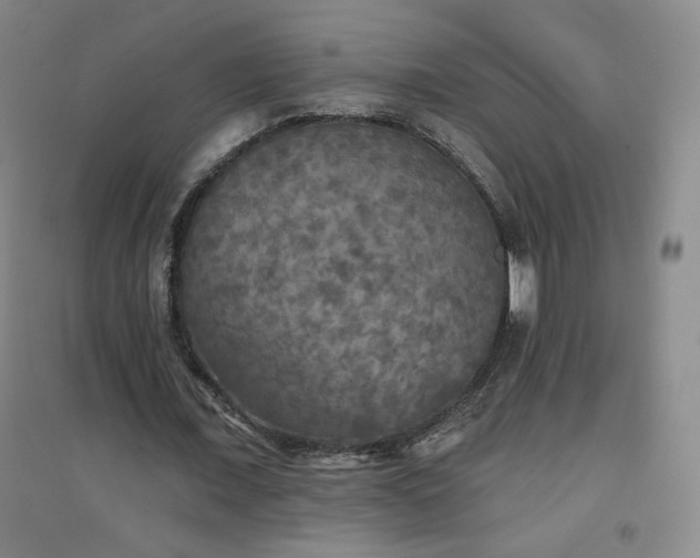 X0000094790675200711161434