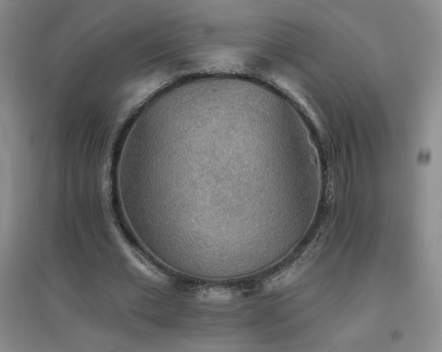X0000094790677200711161434