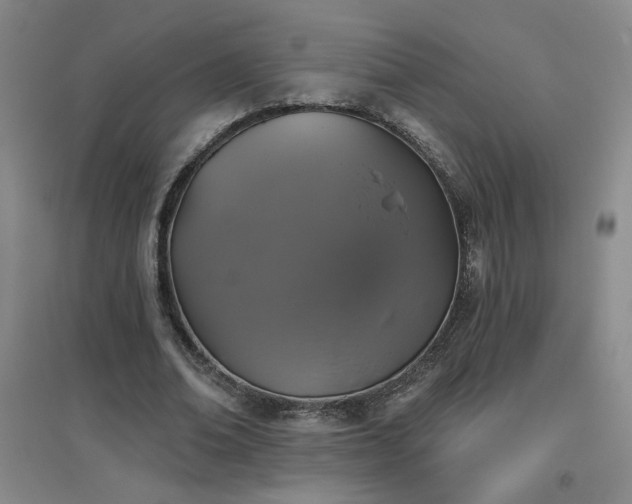 X0000094790678200711161434