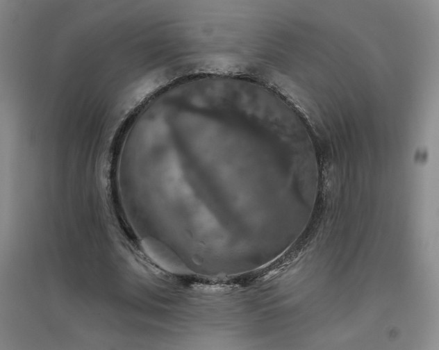 X0000094790679200711161434