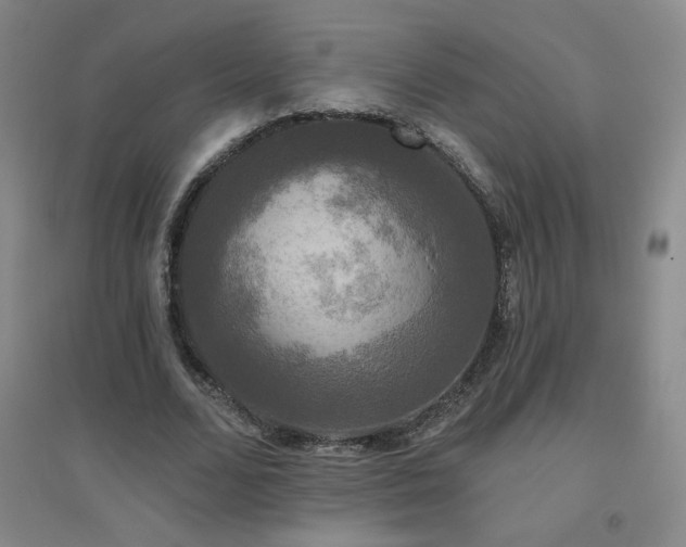 X0000094790680200711161434