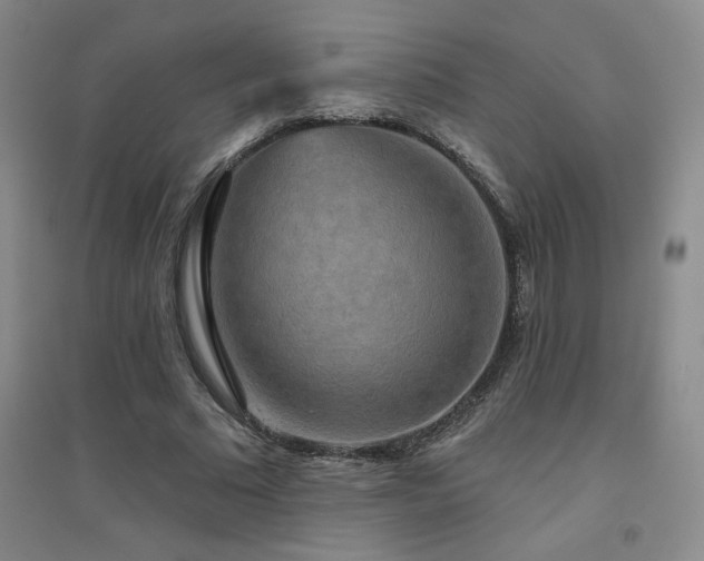 X0000094790681200711161434